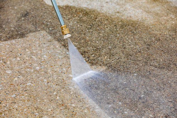Best Dumpster Area Cleaning  in Berkley, MI